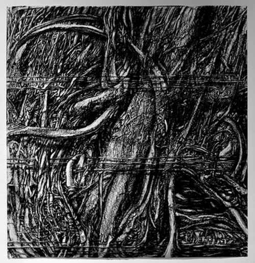 The Forest and the Trees Article Image