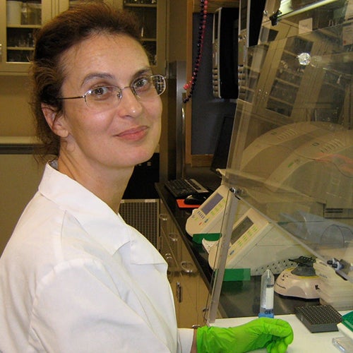Elena Skripnikova, PhD