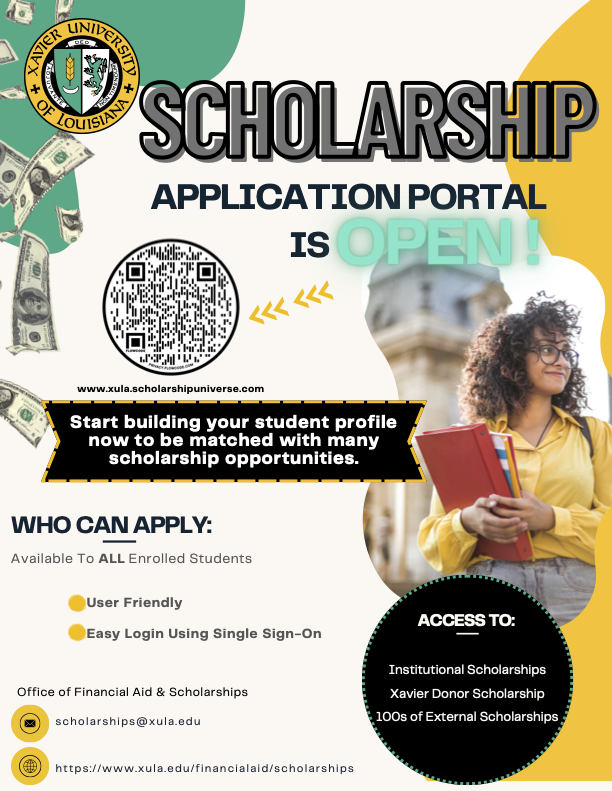 application flyer