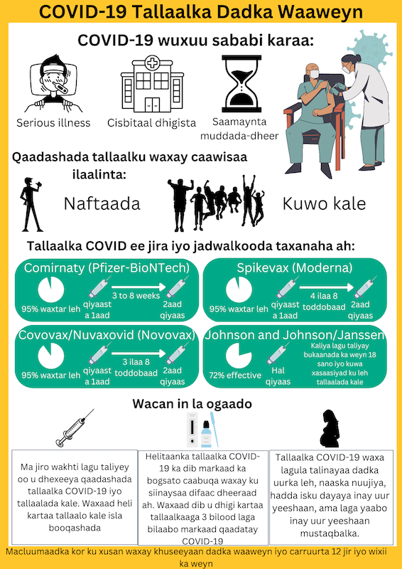 covid 19 adult vaccine